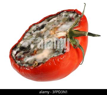 Half of moldy tomato isolated on white background Stock Photo