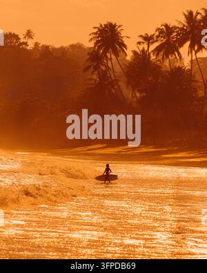 Mirissa, Southern Province, Sri Lanka - 20 August 2026: View of a surfer walking into the ocean with a surfboard at sunset on a tropical beach with pa Stock Photo