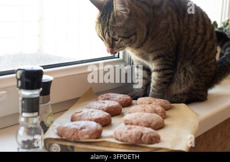 Cat licking its lips while looking at raw homemade cutlets in a cozy kitchen Stock Photo