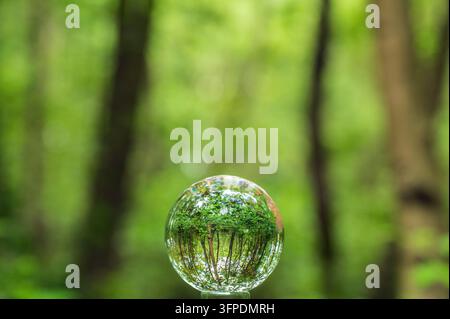 Lens Ball Photography in the forest Stock Photo