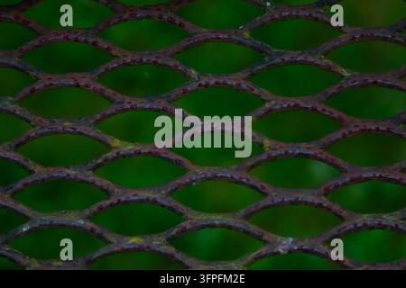 A close-up of an old, rust-covered metal grate with diamond-shaped cells, overgrown with moss. The background is a heavily blurred natural green. Stock Photo