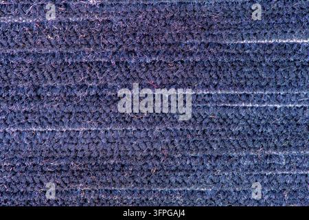 Close up photograph of a dark blue ribbed carpet fabric showcasing a dense pile texture with horizontal lines under soft studio lighting. Stock Photo