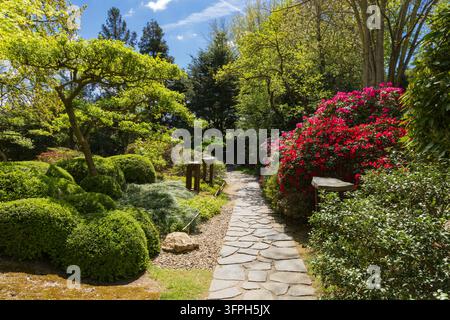 Stone pathway winding through a tranquil Japanese garden filled with lush greenery and vibrant flowers Stock Photo