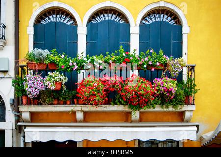 Colorful flower-filled balcony with blue shutters and three arched windows on a bright yellow Italian-style building facade. Stock Photo