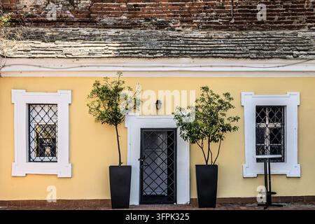 A charming, sunlit courtyard features a yellow wall, decorative potted trees, St Josephs Bastion, Novi Sad, Serbia Stock Photo