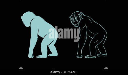Chimpanzee standing in profile illustration in solid color and line art styles Stock Vector