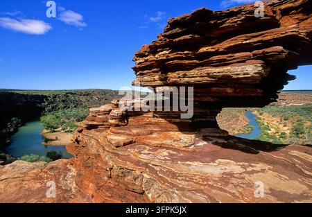 Layered red Tumblagooda sandstone frames a bend of the Murchison River gorge in Kalbarri National Park under a clear blue sky. Stock Photo