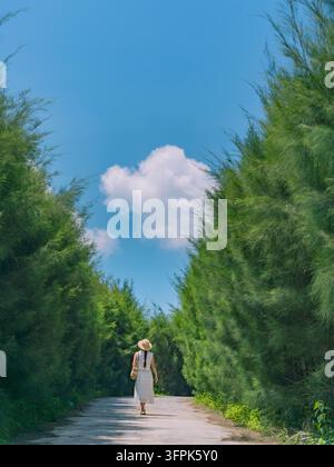 Woman in white dress and straw hat walking away down a road between tall green casuarina hedges, Cai Chien Island, Quang Ninh, Vietnam Stock Photo