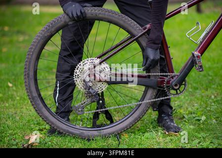 Gloved hands adjusting the rear wheel, chain and cassette of a maroon mountain bike on grass during outdoor maintenance. Stock Photo