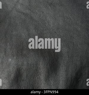Closer view of black leather texture with clearly defined natural grain, raised and recessed surface details, and contrasting highlights and shadows Stock Photo