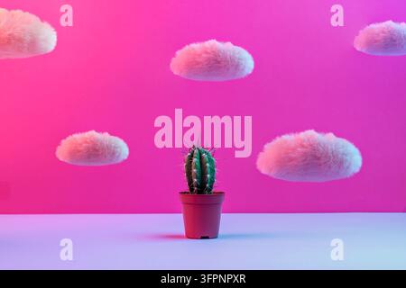 A cactus in a pot stands on a surface, surrounded by floating fluffy clouds against a pink-purple background. Contrast of textures and shapes. Stock Photo