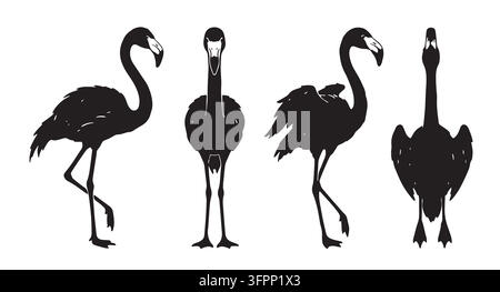 Flamingo silhouette vector set in different poses with bird silhouette Stock Vector