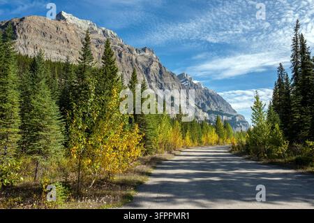Color/image Example September 13, 2026: Emerging autumn colors within Jasper National Park ...
