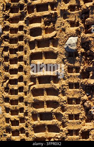 Deep aggressive knobby tire tracks left by an enduro motorcycle on golden beach sand, showing detailed tread patterns imprinted in the grit during a s Stock Photo
