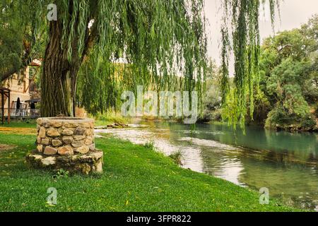framing weeping willow tree trunk foreground couple walking lake park ...