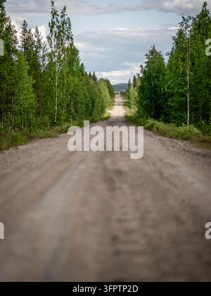 Empty gravel road winding through green boreal forest near Jokkmokk in northern Sweden, with sunlight and shadows beneath a cloudy summer sky. Stock Photo