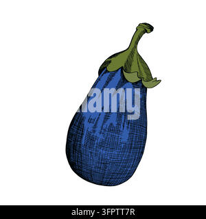 Eggplant with leaf, vegetables. Сlipart desing. aubergine silhouette vector illustration. Food eco friendly concept. Healthy detox diet Stock Vector