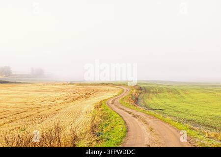 Winding gravel road through misty fields in the countryside Stock Photo