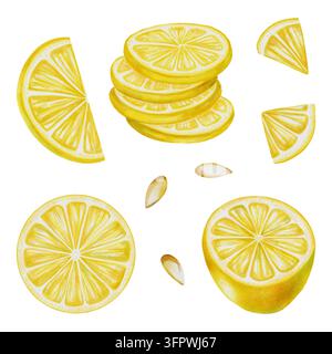 Watercolor set of fresh lemons. Includes whole lemons, halves, and round slices, isolated on a white background. Vibrant citrus elements for food desi Stock Photo
