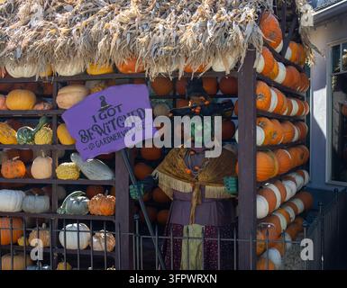Halloween witch decoration and pumpkin display Stock Photo