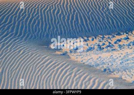 Sand formations on a beach at dusk, low tide, abstract natural patterns. Stock Photo