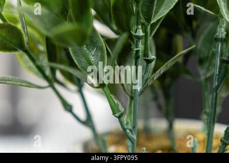 Close up macro view of a faux foliage arrangement in a container, adding refreshing organic style to contemporary living spaces through realistic text Stock Photo