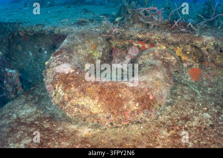 Travel and History: Coral Encrusted Large Pipe and Deck Hardware on USCG Bibb Shipwreck at Key Largo, Florida Stock Photo
