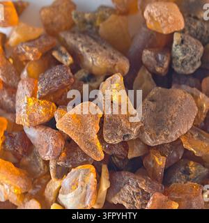 A close-up, macro view of various raw, unpolished amber stones. The pieces display a range of warm, earthy tones from golden yellow to rich brown, wit Stock Photo