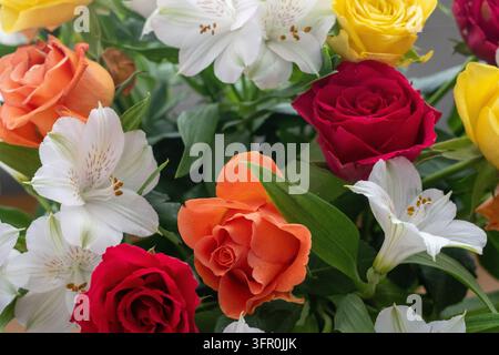 Colorful Bouquet of Roses and White Alstroemeria Flowers Stock Photo