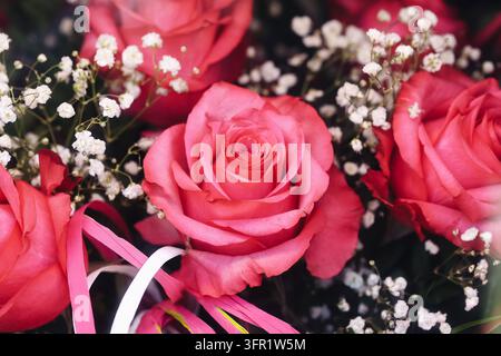 Closeup of pink roses surrounded by delicate white baby's breath flowers. Romantic floral background for bouquets, wedding decoration. Stock Photo