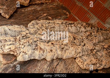 Natural Raw Cork Oak Tree Bark Planks Stacked in Storage Stock Photo