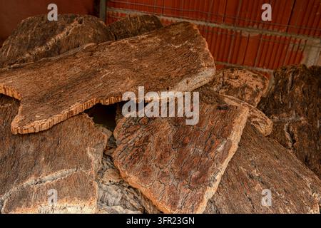 Raw Harvested Cork Oak Bark Slabs Stacked for Processing Stock Photo