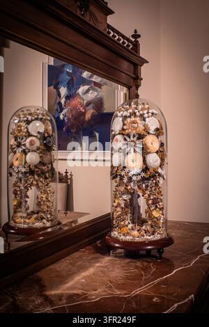Two decorative glass domes, cloches, filled with intricately arranged seashells, corals, and dried floral elements, creating a unique and delicate art Stock Photo