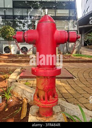 A large red fire hydrant stands on a paved walkway beside a modern office building. The scene highlights urban fire safety infrastructure. Stock Photo