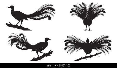Exotic birds with magnificent long tail feathers perched on branches Stock Vector