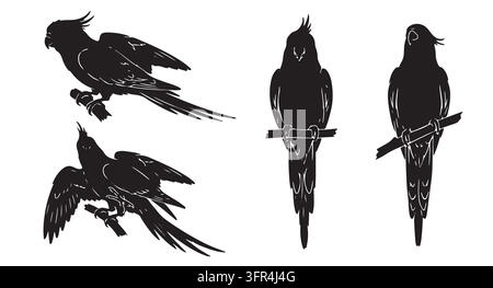 Set of four exotic parrot silhouettes displayed in various poses with bird life Stock Vector
