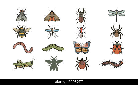 Collection of various colorful insects and arthropods with arthropod Stock Vector