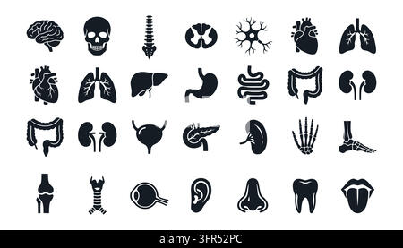 Human internal organs and body parts icons set with brain and heart Stock Vector