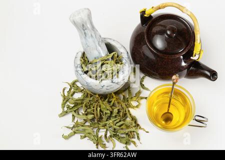 Lemon verbena infusion in a glass cup with marble mortar and pipe and a ceramic teapot with dried lemon verbena leaves isolated on white background an Stock Photo