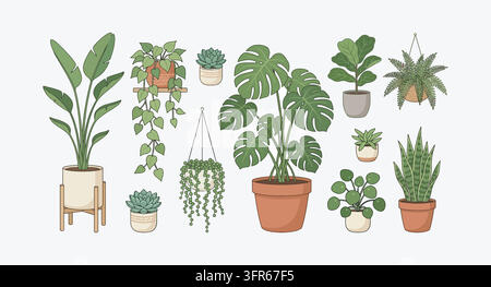 Collection of various potted house plants in ceramic pots with plant Stock Vector