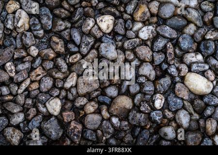Top view of wet pebbles and gravel in shades of gray, brown, beige and blue-gray, filling the whole frame as a natural stone texture Stock Photo