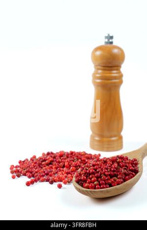 Pink peppercorns in a wooden spoon with a wooden pepper shaker isolated on a white background and copy space Stock Photo