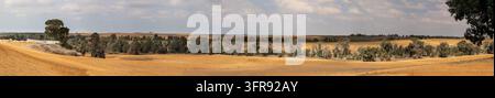 A wide panorama of fields in the northern Negev ready for the fall planting show trees dividing the different fields Stock Photo
