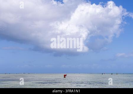Lone woman in a red dress bending over in the shallow sea at low tide to collect shells under a huge white cloud with tiny figures on the distant hori Stock Photo