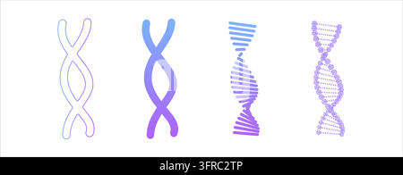 Set of four stylized DNA helix icons featuring blue to purple gradients. Abstract illustrations of genetic spirals representing biology, medicine, bio Stock Vector