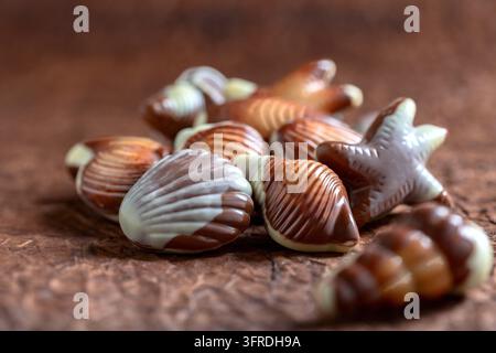 Assorted milk chocolate candies in a nautical style close-up, selective focus. Copy space Stock Photo