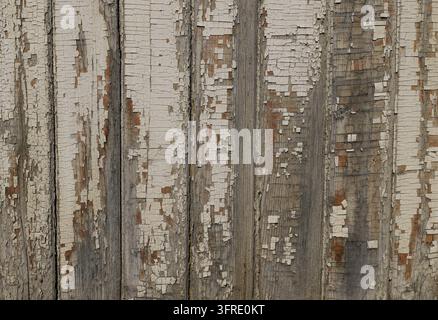 Weathered wood planks with peeling white paint and exposed grain, creating a rustic, aged textured background ideal for vintage, farmhouse, and distre Stock Photo