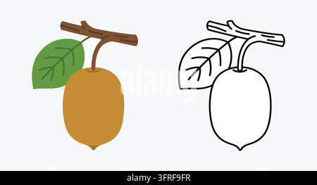 Kiwi fruit hanging from wooden branch as flat color art and line illustration Stock Vector