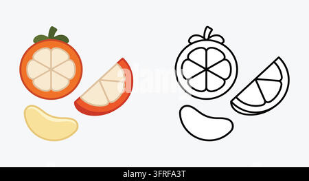 Fresh mangosteen cross section and pulp in color and line art styles Stock Vector