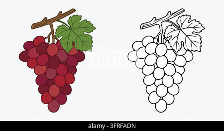 Cluster of red grapes on a stem with green leaf illustration Stock Vector